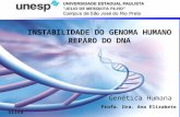 Mutações INSTABILIDADE DO GENOMA HUMANO REPARO DO DNA Genética Humana Profa. Dra. Ana Elizabete Silva.