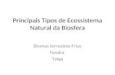 Principais Tipos de Ecossistema Natural da Biosfera Biomas terrestres Frios Tundra Taiga.