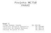 Projeto MC750 PARAÍ Grupo 1: Tiago Bember SimeãoRA 105740 Vinicius Oliveira QuerenciaRA 104304 Vinicius de Araujo Barboza RA 105772 Victor Accarini D’Lima.