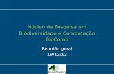 Núcleo de Pesquisa em Biodiversidade e Computação BioComp Reunião geral 19/12/12.