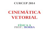 CURCEP 2014 CINEMÁTICA VETORIAL FÍSICA A PROF.: BORBA.