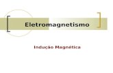Eletromagnetismo Indução Magnética. Condutor em movimento dentro de um campo magnético Consideremos um condutor metálico, movimentando-se com velocidade.