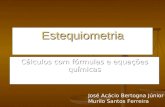 Estequiometria Cálculos com fórmulas e equações químicas José Acácio Bertogna Júnior Murilo Santos Ferreira.