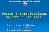 Forças Intermoleculares Sólidos e Líquidos Danilo Lucari Ribeiro nº13818 Daniel Silva Costa nº14433 Universidade Federal de Itajubá.