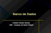 Banco de Dados Cristina Paludo Santos URI – Campus de Santo Ângelo.