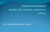 Prof. Erika Meirelles de Castro. Lesões de crânio Os traumatismos crânio-encefálicos estão incluídos entre as mais freqüentes e mais graves alterações.