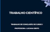 TRABALHO CIENTÍFICO TRABALHO DE CONCLUSÃO DE CURSO I PROFESSORA: LUCIANA BRITO.