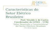 Características do Setor Elétrico Brasileiro Prof. Nivalde J. de Castro Coordenador do GESEL – UFRJ Taller Desarrollo y Características del Sector Eléctrico.