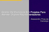 Gestão De Mudanças Em Projetos Para Atender Órgãos Regulamentadores Alessandro Pires de Camargo.