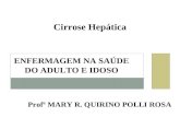 Cirrose Hepática Profª MARY R. QUIRINO POLLI ROSA ENFERMAGEM NA SAÚDE DO ADULTO E IDOSO.