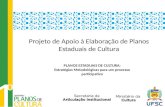 Projeto de Apoio à Elaboração de Planos Estaduais de Cultura PLANOS ESTADUAIS DE CULTURA: Estratégias Metodológicas para um processo participativo.