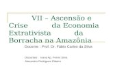 VII – Ascensão e Crise da Economia Extrativista da Borracha na Amazônia Docente : Prof. Dr. Fábio Carlos da Silva Discentes : Ivana Ap. Ferrer Silva Alexandro.