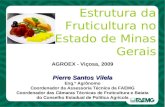 Estrutura da Fruticultura no Estado de Minas Gerais AGROEX - Viçosa, 2009 Pierre Santos Vilela Eng.º Agrônomo Coordenador da Assessoria Técnica da FAEMG.