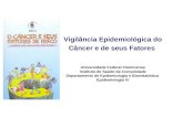 Vigilância Epidemiológica do Câncer e de seus Fatores FUNASA Universidade Federal Fluminense Instituto de Saúde da Comunidade Departamento de Epidemiologia.