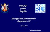 Zoologia dos Invertebrados Superiores - II PUCRS FaBio DepBio Profa. Betina Blcohtein 22/março/2006.