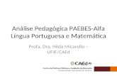 Análise Pedagógica PAEBES-Alfa Língua Portuguesa e Matemática Profa. Dra. Hilda Micarello – UFJF/CAEd.