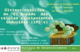 Biologia do Desenvolvimento – 28 de Junho de 2012 Licenciatura em Biologia Humana 2º Ano (4º Semestre) Ano Letivo 2011/2012 Elaborado por: Maria Ferreira.