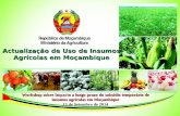 Workshop sobre Impacto a longo prazo do subsídio temporário de insumos agrícolas em Moçambique 15 de Setembro de 2014 Actualização de Uso de Insumos Agrícolas.
