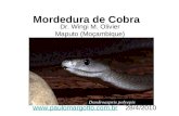Mordedura de Cobra Dr. Wingi M. Olivier Maputo (Moçambique)  28/4/2010.