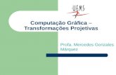Computação Gráfica – Transformações Projetivas Profa. Mercedes Gonzales Márquez.