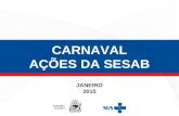 CARNAVAL AÇÕES DA SESAB JANEIRO 2015. SETORES ENVOLVIDOS Carnaval 2015: ações da SESAB GASEC SUVISASUREGSSAIS DGRP SUPERH ASCOM.