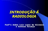 INTRODUÇÃO Á RADIOLOGIA Profºs Andre Luiz Lopes de Oliveira e Aretusa Arcanjo.