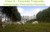 Case II - Fazenda Triqueda: Integração Pecuária-Floresta.