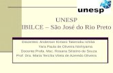UNESP IBILCE – São José do Rio Preto Discentes: Anderson Kintaro Takenobu Ichiba Yara Paula de Oliveira Nishiyama Docente:Profa. Msc. Rosana Silistino.