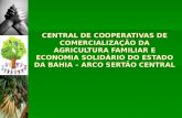 CENTRAL DE COOPERATIVAS DE COMERCIALIZAÇÃO DA AGRICULTURA FAMILIAR E ECONOMIA SOLIDÁRIO DO ESTADO DA BAHIA – ARCO SERTÃO CENTRAL.
