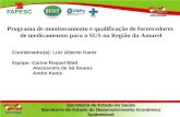 Programa de monitoramento e qualificação de fornecedores de medicamentos para o SUS na Região da Amurel Coordenador(a): Luiz Alberto Kanis Equipe: Carine.