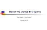 Banco de Dados Biológicos Marcílio C. P. de Souto DIMAp/UFRN.