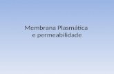 Membrana Plasmática e permeabilidade. Membrana plasmática Presente em todas as células Lipoprotéica Permeabilidade seletiva – identidade celular Modelo.