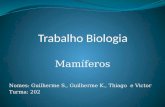 Mamíferos Nomes: Guilherme S., Guilherme K., Thiago e Victor Turma: 202.