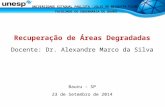 Recuperação de Áreas Degradadas Docente: Dr. Alexandre Marco da Silva Bauru - SP 23 de Setembro de 2014 UNIVERSIDADE ESTADUAL PAULISTA “JÚLIO DE MESQUITA.