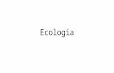 Ecologia. Conceitos Ecologia: estudo da relação entre os seres vivos Átomo molécula organela célula Organismo Sistema órgão tecido População comunidade.