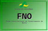 FNO Fundo Constitucional de Financiamento do Norte.