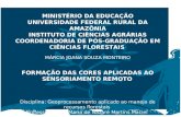 Certificação Florestal à luz dos novos consumidores: O MODELO FSC João Carlos Augusti MINISTÉRIO DA EDUCAÇÃO UNIVERSIDADE FEDERAL RURAL DA AMAZÔNIA INSTITUTO.