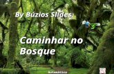 By Búzios Slides Caminhar no Bosque Automático ... Existe uma estrada no bosque... Caminhar no bosque é uma atividade agradável, saudável, que permite.