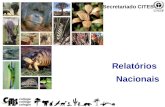 1 Relatórios Nacionais Secretariado CITES. 2 Visão geral Os relatórios Nacionais CITES integram-se nas seguintes categorias: –Relatório anual sobre o.