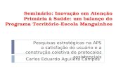 Seminário: Inovação em Atenção Primária à Saúde: um balanço do Programa Território-Escola Manguinhos Carlos Eduardo Aguilera Campos Pesquisas estratégicas.