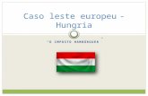 “O IMPOSTO HAMBÚRGUER” Caso leste europeu- Hungria.