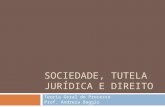 SOCIEDADE, TUTELA JURÍDICA E DIREITO Teoria Geral do Processo Prof. Andreza Baggio.