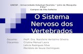 O Sistema Nervoso dos Vertebrados Docente: Profª. Dra. Rosicleire Veríssimo Silveira Discentes:Cristina Manuel Laura Leticia Rodrigues Silva Maristela.