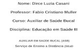 Nome: Dirce Luzia Casani Professor: Fabio Cristiano Muller Curso: Auxiliar de Saúde Bucal Disciplina: Educação em Saúde III AUXILIAR EM SAÚDE BUCAL (ASB)