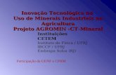 Inovação Tecnológica no Uso de Minerais Industriais na Agricultura Projeto AGROMIN -CT-Mineral Instituições CETEM Instituto de Física / UFRJ IBCCF / UFRJ.