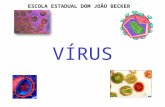 VÍRUS ESCOLA ESTADUAL DOM JOÃO BECKER. HISTÓRICO: A existência do vírus foi reconhecida pela primeira vez há 100 anos; Demonstração da doença do mosaico.