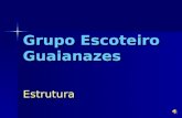 Grupo Escoteiro Guaianazes Estrutura. Para realizar o seu trabalho educativo, o Grupo Escoteiro Guaianazes conta com a colaboração de várias pessoas,