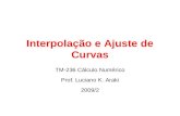 Interpolação e Ajuste de Curvas TM-236 Cálculo Numérico Prof. Luciano K. Araki 2009/2.