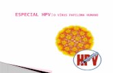 VÍRUS HPV  CONTÁGIO E DESENVOLVIMENTO NO CORPO  PATOLOGIA DO HPV  PREVENÇÃO  EXAMES  TRATAMENTOS  HPV NO HOMEM  VACINA CONTRA HPV QUEM PODE SE.