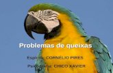 Problemas de queixas Espírito: CORNÉLIO PIRES Psicografia: CHICO XAVIER.
